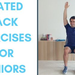 Exercises for lower back fat